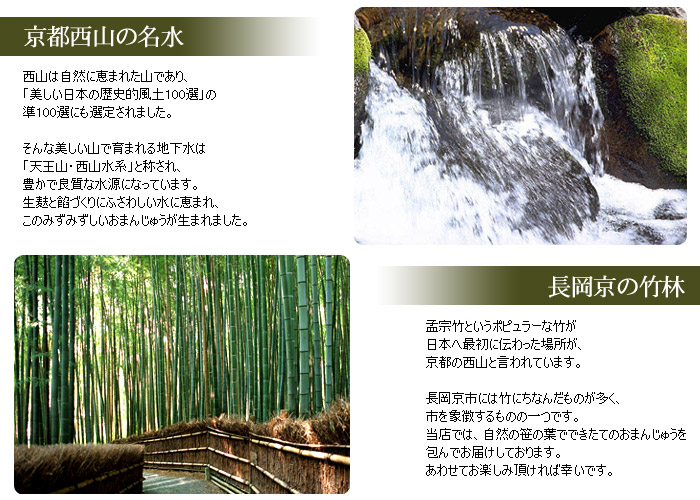 京都西山の名水と長岡京の竹林