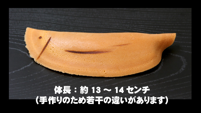 体長