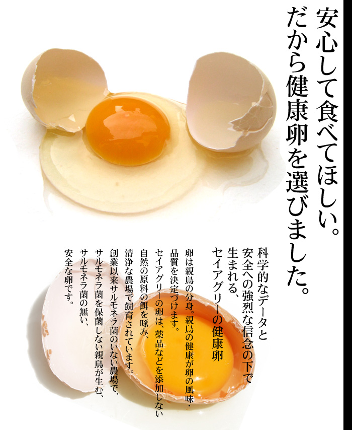 卵の説明