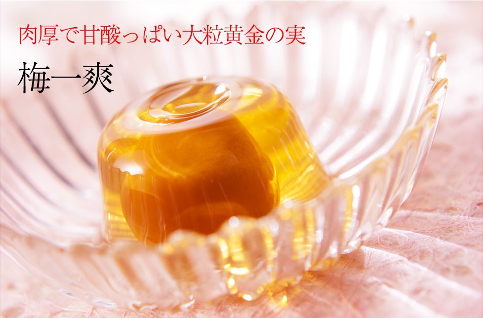 梅一爽