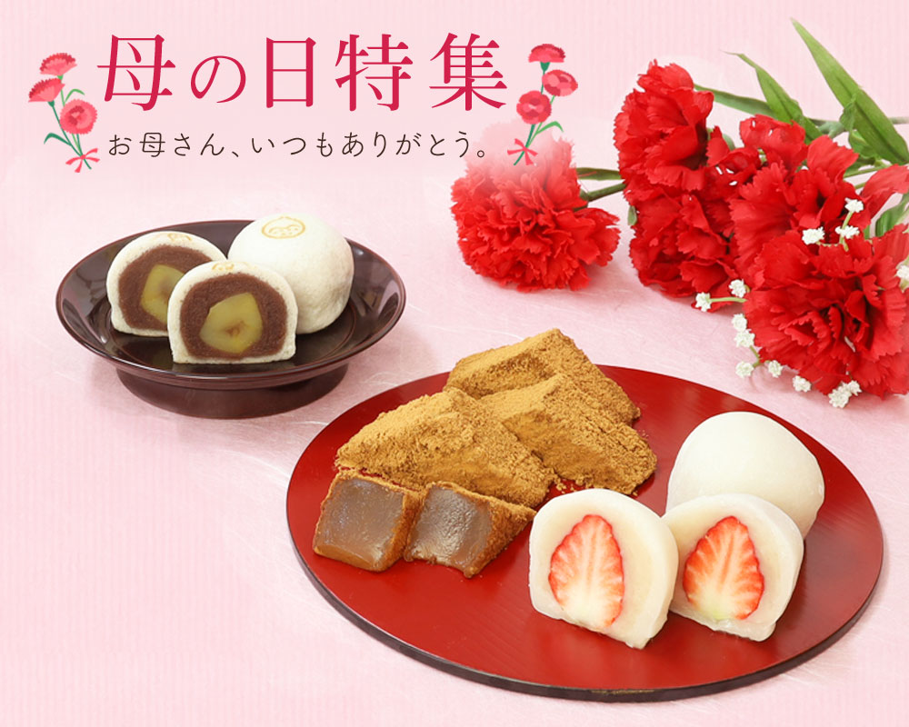 母の日特集 母の日特集