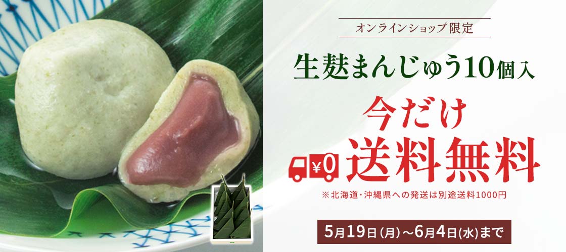 生麸まんじゅう10個送料無料