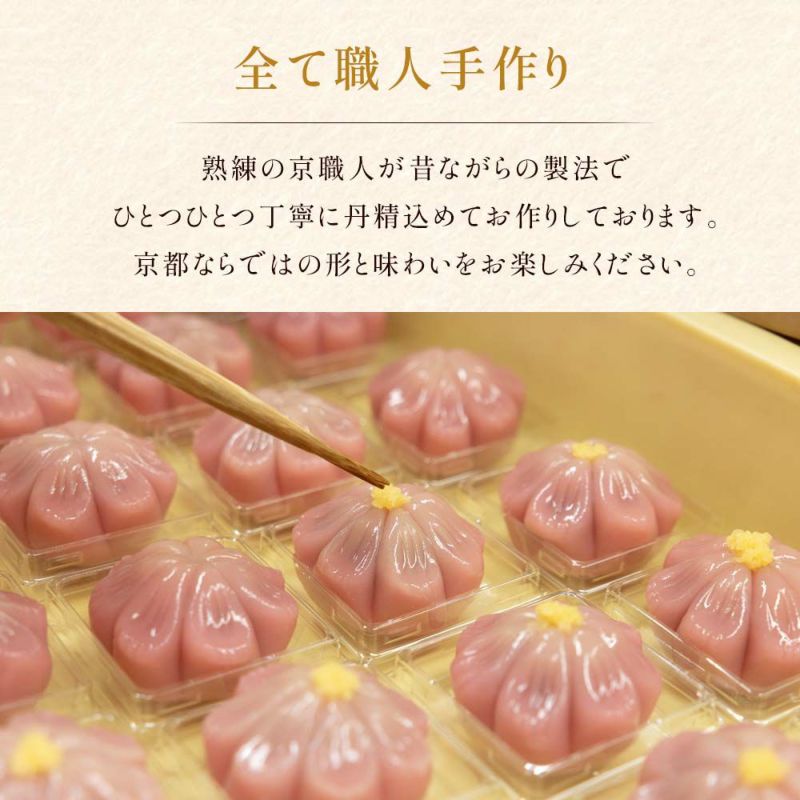 季節の上生菓子６個箱 冷凍発送 冷凍品以外は同梱不可 京都の和菓子 京みずは 父の日ギフト