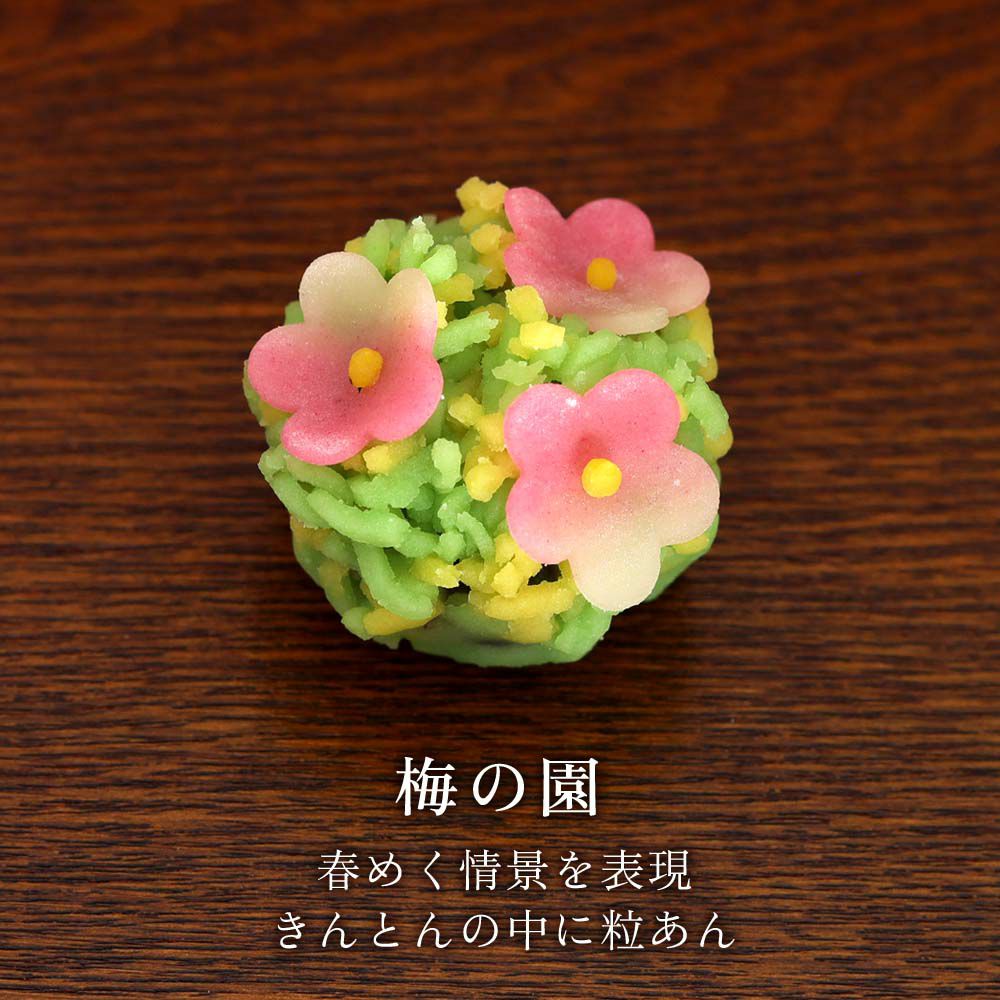 梅の園