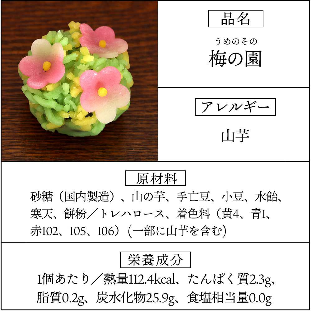 梅の園
