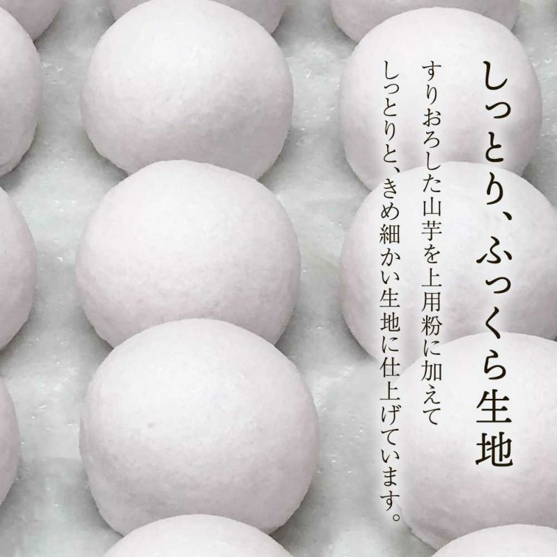 紅白上用まんじゅう2個組 サイズ小 ナンバー1 のし付き 文字入れ不可 京都の和菓子 京みずは 夏ギフト お中元 暑中見舞ギフト 紅白上用まんじゅう2個組 サイズ小 ナンバー1 のし付き 文字入れ不可 京都の和菓子 京みずは 夏ギフト お中元 暑中見舞ギフト