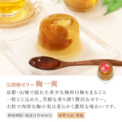 梅一爽