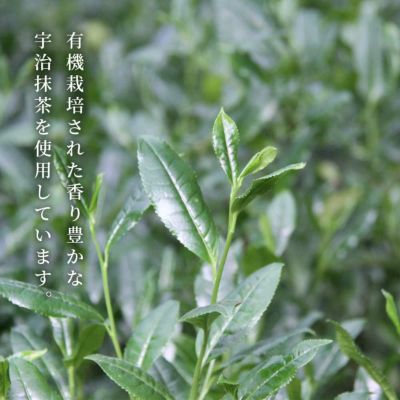 宇治抹茶について